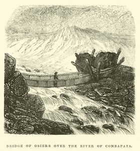 Bridge of Osiers over the River of Combapata by Edouard Riou